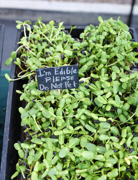 "Please Don't" Images – Browse 424 Stock Photos, Vectors, and Video