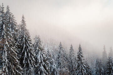 Mountaineer backcountry ski walking ski alpinist in the mountains. Ski touring in alpine landscape...