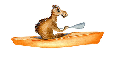 Cartoon camel and kayak watercolor illustration isolated on white background. Cute Australian animal has water sport hand drawn. Design element for print, wallpaper, childish sticker, poster