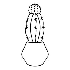 Cactus and succulent line style vector illustration
