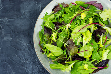 Tasty fresh green salad
