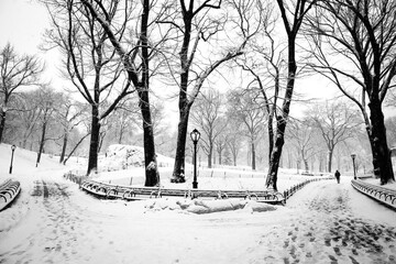 Large path in the park during snow