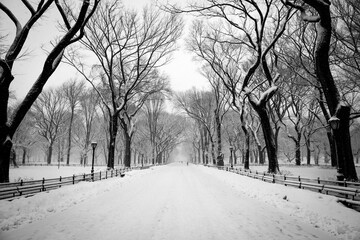 Large path in the park during snow