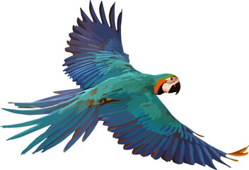 Colorful Blue and gold macaw parrot isolated on transparent background. Vector illustration png file - obrazy, fototapety, plakaty