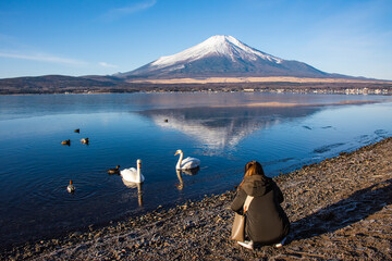 山中湖から白鳥を撮る女の子
