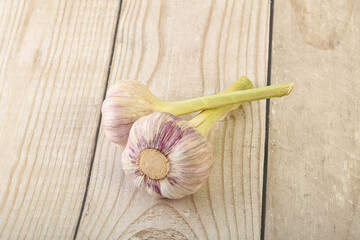 Two Young garlic over background