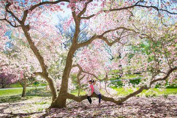 Two young asian girls in a garden surrounded by cherry blossom tree