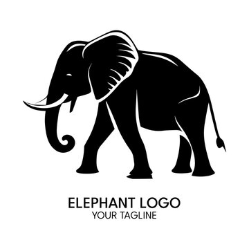 Silhouette art elephant logo, vector template