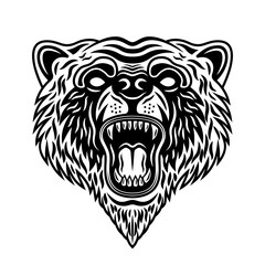 Bear snout with open roaring mouth vector illustration in vintage black and white style isolated
