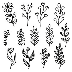 floral pattern botanical illustration decoration