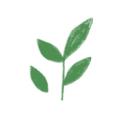 Isolated hand drawn illustration of fresh green tea leaves