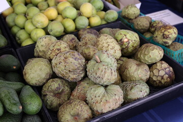 market cherimoya 