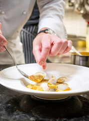 chef at work, italian restaurant