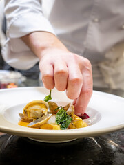 Obraz na płótnie Canvas chef at work, italian restaurant
