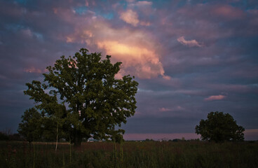 Fototapeta premium Cloudy pink evening sky in rural area landscape photo. Beautiful nature scenery photography with blurred background. Idyllic scene. High quality picture for wallpaper, travel blog, magazine, article