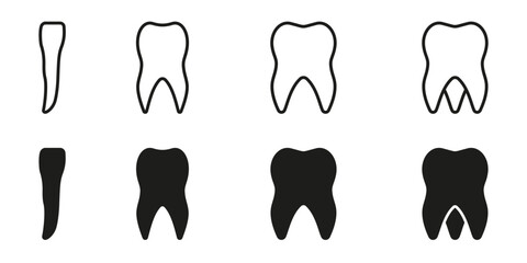 Types of Human Teeth Line and Silhouette Icon Set. Adult Tooth Anatomy. Incisor, Canine, Premolar, Molar Teeth Pictogram. Dental Treatment Sign. Dentistry Symbol. Isolated Vector Illustration - obrazy, fototapety, plakaty