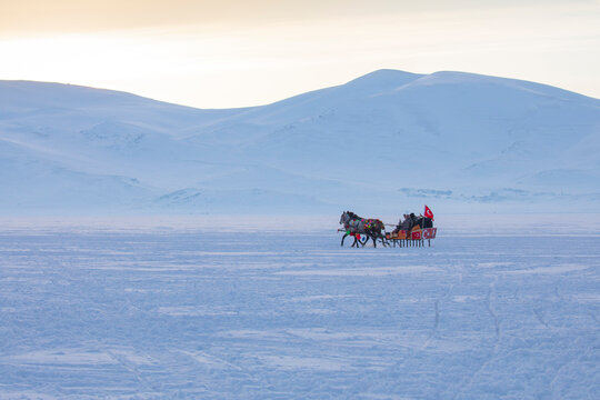 Horses Pulling Sleigh In Winter - Cildir Lake, Kars