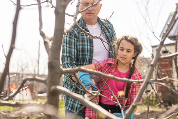 gardening, grandfather and granddaughter in the garden pruning trees
