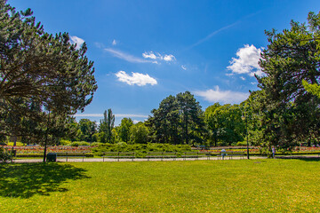 summer landscape on a sunny day park garden Warsaw Poland path, tree