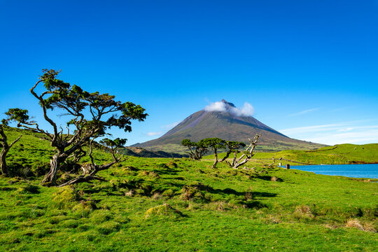 Azoren Sao Miguel Portugal Atlantischer Ozean Ponta Delgada