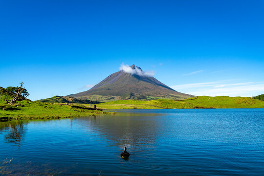 Azoren Sao Miguel Portugal Atlantischer Ozean Ponta Delgada