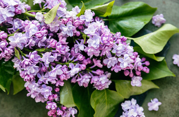 Beautiful lilac flowers branch, green concrete background, natural background. Seasonal concept.