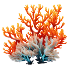 Foto op Aluminium coral reef isolated on transparent background cutout © Natural PNG