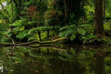 Azoren Sao Miguel Portugal Atlantischer Ozean Ponta Delgada