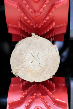 wood log in feed rolls of debarking machine