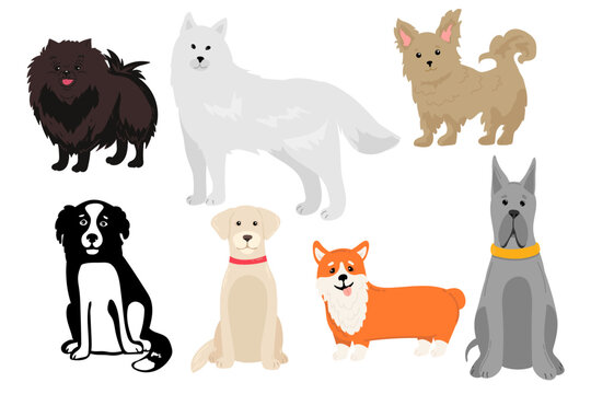 Dogs collection. Vector illustration of funny cartoon different breeds dogs in trendy flat style. Isolated on white
