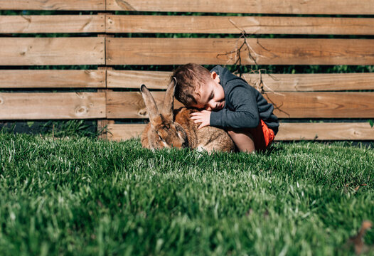 Toddler hugging a large rabbit