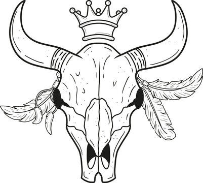 Skull of a bull with feathers and a crown. Vector illustration, line art.
