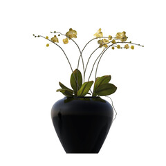 decorative flowers and plants for the interior, isolated on transparent background, 3D illustration, cg render
