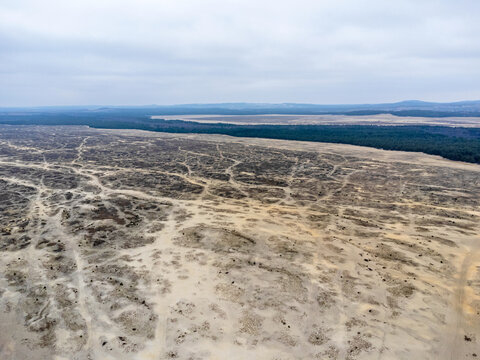 Aerial view landscape. View of Bledowska Desert, sand and trees, Poland.