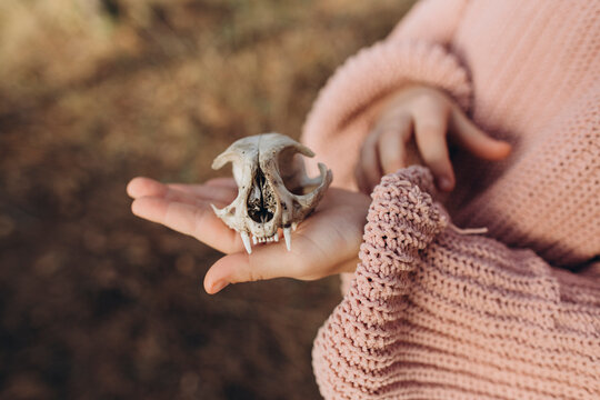 Girl holding animal skull in hand