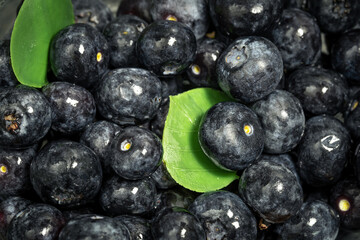 Blueberry berries close-up, macro shot, food background.