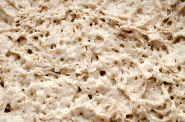 Yeast dough for whole grain gray bread, texture, background, top view. Background texture of fresh yeast dough for bread, top view.