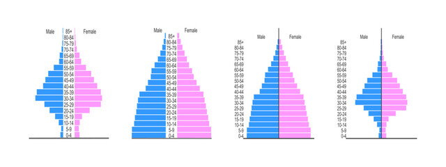 Set of population pyramids. Age structure diagram templates. Examples of population distribution by male and female groups with different age. Vector flat illustration