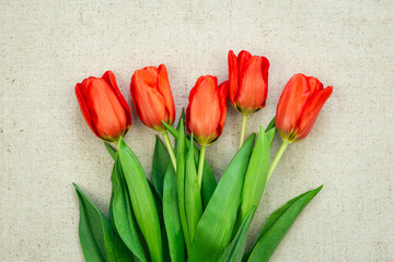 Bouquet of red tulips on a light background, top view.