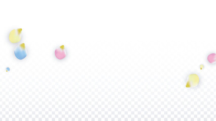 Vector Realistic Colorful Petals Falling on Transparent Background.  Spring Romantic Flowers Illustration. Flying Petals. Sakura Spa Design. Blossom Confetti. Design Elements for Wedding Decoration.