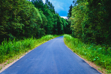 Fototapeta premium Empty Road in forest against the rain in summer evening.country road curved roadway, trees with green foliage in overcast sky.Landscape with empty asphalt road through woods in summer.Travel concept.