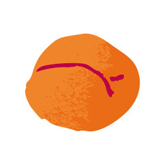 Apricot, whole fruit. Fresh ripe healthy natural food, sweet vitamin eating. Raw orange peach. Textured flat vector illustration isolated on white background