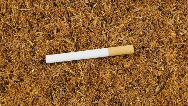 Tobacco and filter cigarette. Chopped leaves of authentic rolling tobacco. View from above