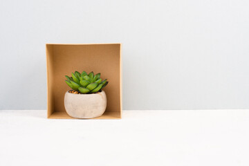 Cactus in a pot standing inside a gift box, minimalistic decoration, plant at the desk, modern home, homeoffice

