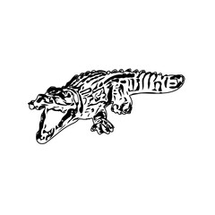 Black and white sketch of a crocodile with transparent background