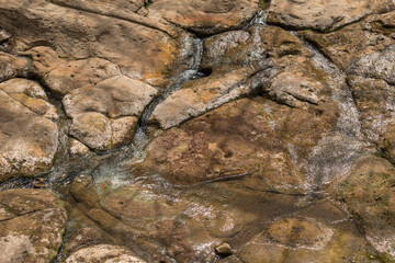 Detail of the Fuente de Lavapatas, ceremonial fountain with numerous serpentine and batracomorphic figures in low relief. San Agustin (San Agustín), Huila, Colombia, archaeological park.