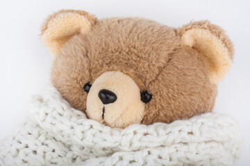 Cute teddy bear with winter wool scarf