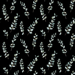 Pattern with green eucalyptus leaves. Botanical natural. Watercolor isolated illustration on black background. Seamless pattern, an illustration for postcards, posters, textile design and other.