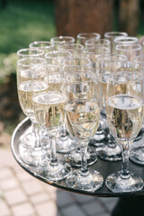 Served wedding table in the forest style