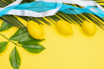 Ripe lemons, a palm branch and white and blue ribbons as a concept for the holiday of Sukkot